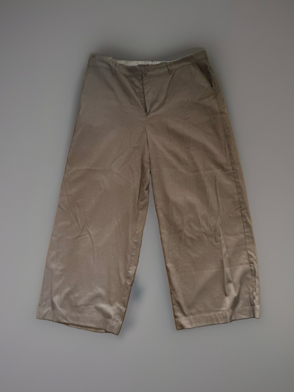 Ava & Viv Women's Wide-Leg Flat Front Chinos in Light Brown Sz 18